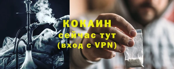 дмт Абаза