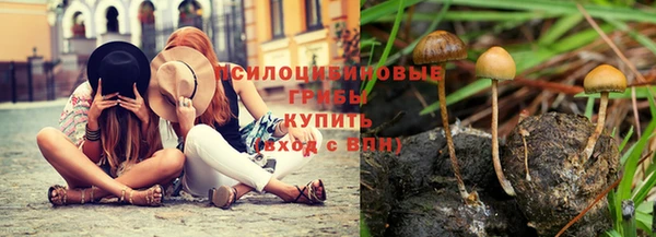 тгк Абдулино