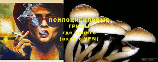 тгк Абдулино