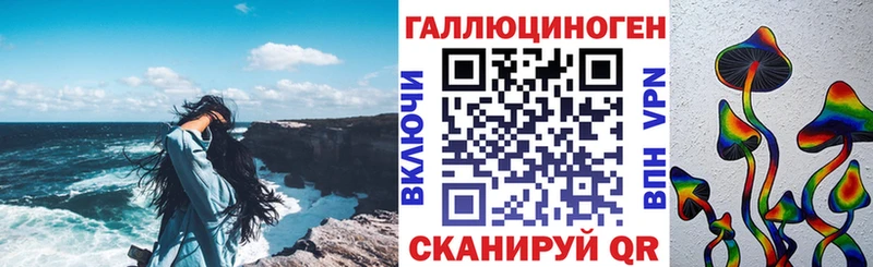 купить  цена  Тында  Псилоцибиновые грибы GOLDEN TEACHER 